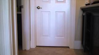 Super Cats open the door!
