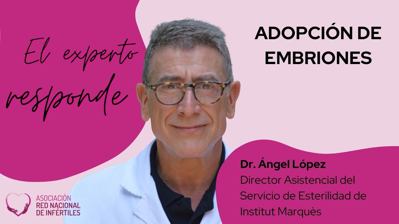 Adopción de embriones. El experto responde