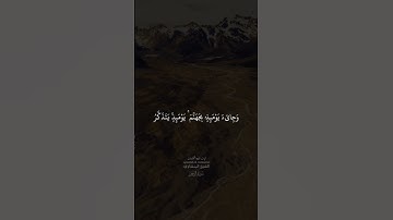 الشيخ محمد صديق المنشاوي سورة الفجر #قرآن_كريم #الشيخ_محمد_صديق_المنشاوي #الشيخ_المنشاوي #سورة_الفجر
