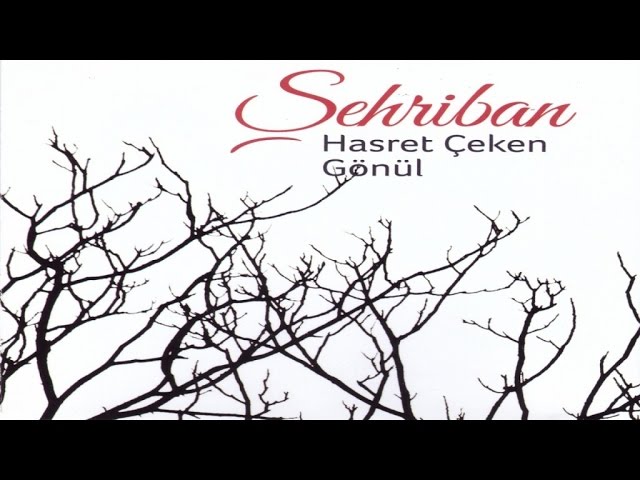 YouTube पर ŞEHRİBAN - Bir Güzel Methedem देखें