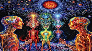 The Most Profound Trip Reports of 2024 | Part Five