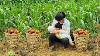 A 17-year-old single mother and her child went to harvest chili peppers and sell them