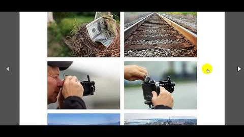 Free Download T-rex CMS: Drag And Drop Build Site v1.5.4