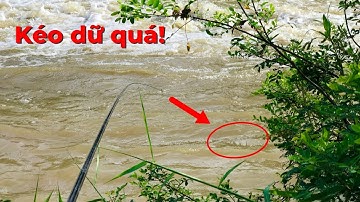 Lần ra khúc suối sâu câu cá chạch cá rô/1 ngày đi câu bội thu|tập 12
