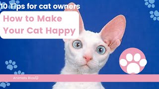 Top10 cute baby cats videos 2023 | Compilation of funny moments of Persian cats | Cutest animal| #4k