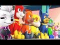 Paw Patrol Mission Paw Pups Team Training Day - Fun Pet Animal Game For Kids