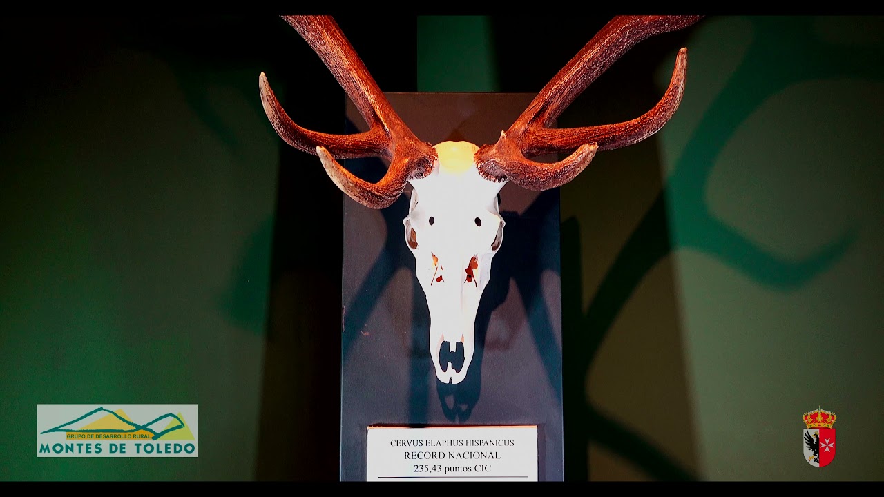 Video promocional de Los Yébenes (Montes de Toledo) - 2021