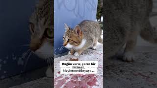 Bugün Varız… Yarın Bir Ihtimal Yokuz