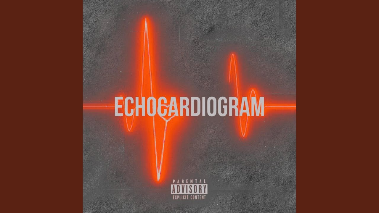 Guarda Echocardiogram su YouTube Guarda Echocardiogram su YouTube