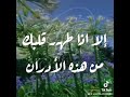 محبة الناس لاتشترى بالاحساب ولا بالانساب وبالاموال محبة الناس لاتشترى بالاحساب ولا بالانساب وبالاموال