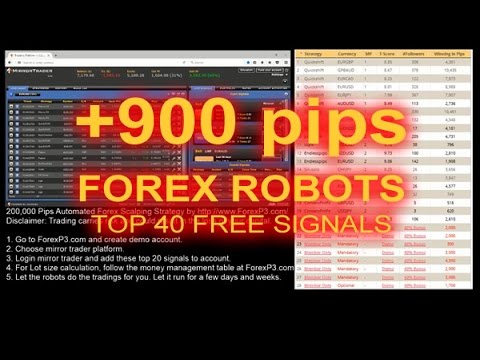 Forex China Live Trading 7 830 Forex China Import Export Trade Report - 
