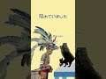 【雑学】ただのリスさん、吸血鬼扱い #shorts