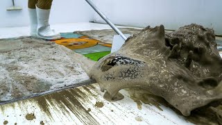 Adorable Bear Hidden Under Mud - Satisfying Videos - Carpet Cleaning Satisfying ASMR