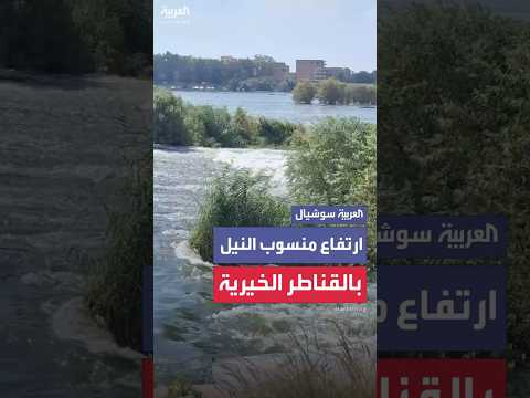 ارتفاع منسوب مياه النيل بالقناطر الخيرية في القليوبية بمصر