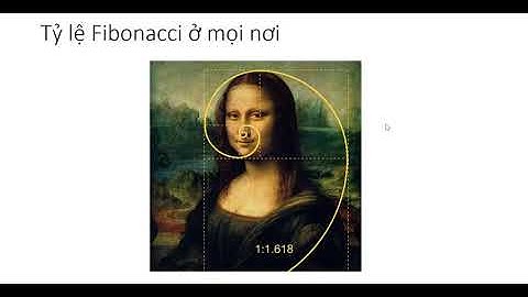 Bài 15  Công cụ Fibonacci Retracement là gì Hướng dẫn sử dụng chỉ báo Fibo Nguồn Blockchain Dream