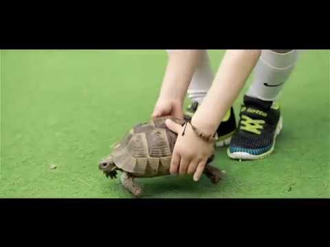 MOE: დაიცავი ბიომრავალფეროვნება - იზრუნე გარემოზე