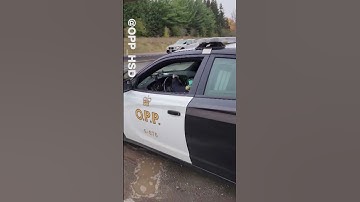 WATCH: OPP catches driver going 167 km/h while filming PSA