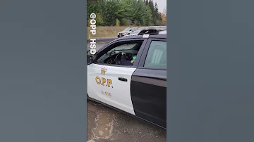 WATCH: OPP catches driver going 167 km/h while filming PSA