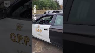 WATCH: OPP catches driver going 167 km/h while filming PSA screenshot 2