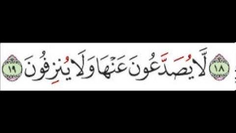 سورة الواقعة الآية 19