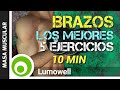 Los Mejores 5 Ejercicios para Brazos con Mancuernas en Casa