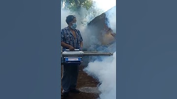 Thumbnail of fogging sarang nyamuk#shorts