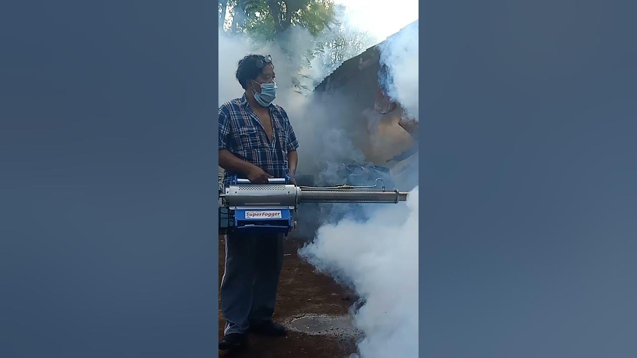 fogging sarang nyamuk#shorts
