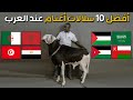من هي افضل سلالة كباش و ماعز عند الدول العربية تصنيف لأفضل 10 سلالات اغنام عند العرب 