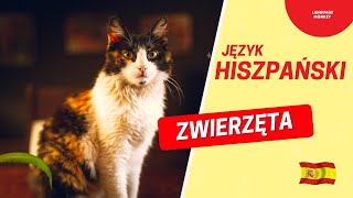 Nauka Język Hiszpańskiego. Jak nazywają się zwierzęta? Poznajemy słownictwo dla początkujących. screenshot 5