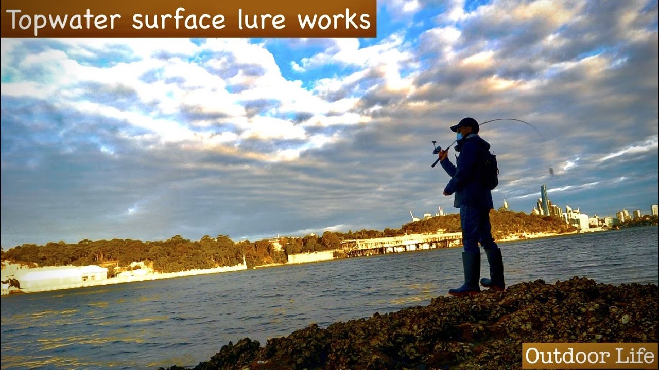 Topwater surface lure fishing Best Top water Bass lures 2021 YouTube