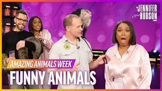 JHud’s Funniest Moments with Animals