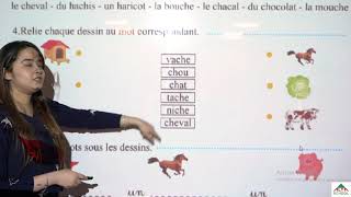 cours de français 2ème année primaire le son CH