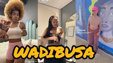 Best of Wadibusa (Amapiano) dance Challenge Compilation!