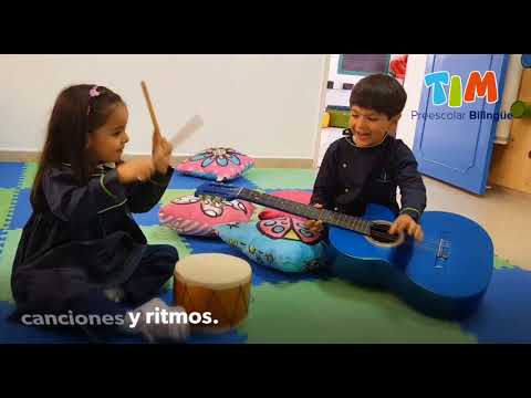 inteligencia musical tim youtube