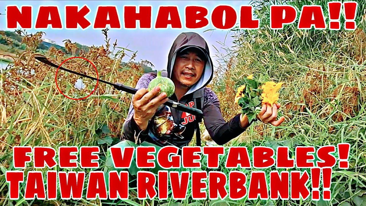 FREE FISH AND VEGETABLES ON TAIWAN RIVERBANK!!! NAKAHABOL PA NG MGA GULAY!!!