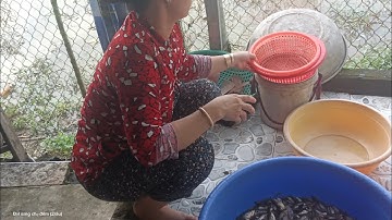 Thành quả của ngày mưa bão #dscd2r