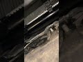 Radiator leak