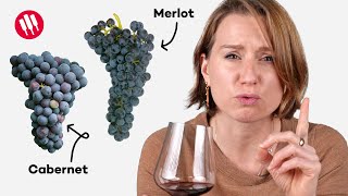 Learn by Tasting (ep. 25) Wine Folly