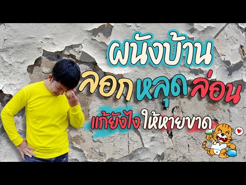 วีดีโอ: อะไรทำให้เกิดการหลุดร่อน?