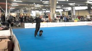 Allevamento Amatoriale Er Dellantico Molino