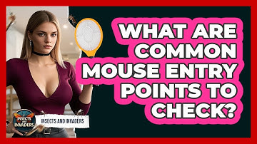 What Are Common Mouse Entry Points To Check? - Insects and Invaders