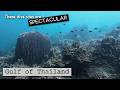 Can DJI Osmo Action 4 Still Impress in 2026? Underwater footage from Gulf of Thailand