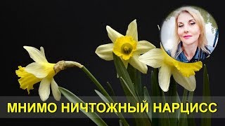 : -.   .