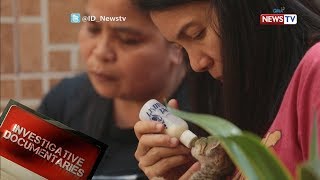 Investigative Documentaries: Babae, nagaalaga ng 53 pusa sa kanyang tahanan