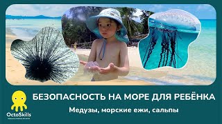 Безопасность на море для ребенка. Медузы, морские ежи, сальпы