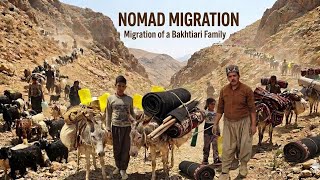 The migration of the Zagros nomads; a hard life and setting up tents in the heart of the mountains🏔🐐