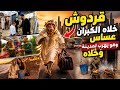 قردوش خلاه الكبران عساس 🦺 ولكن هرب يدوز العيد فالمدينة وخلاه 🤣😂