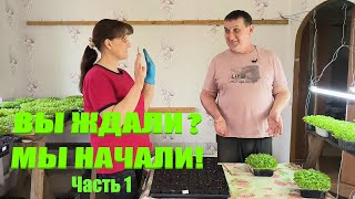 Пикировка табака началась.  Часть 1. Наша жизнь в деревне.