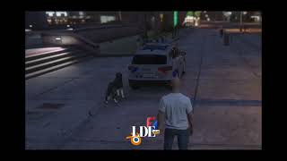 [LDE STUDIO] K9 System - UI Dog FiveM SCRIT
