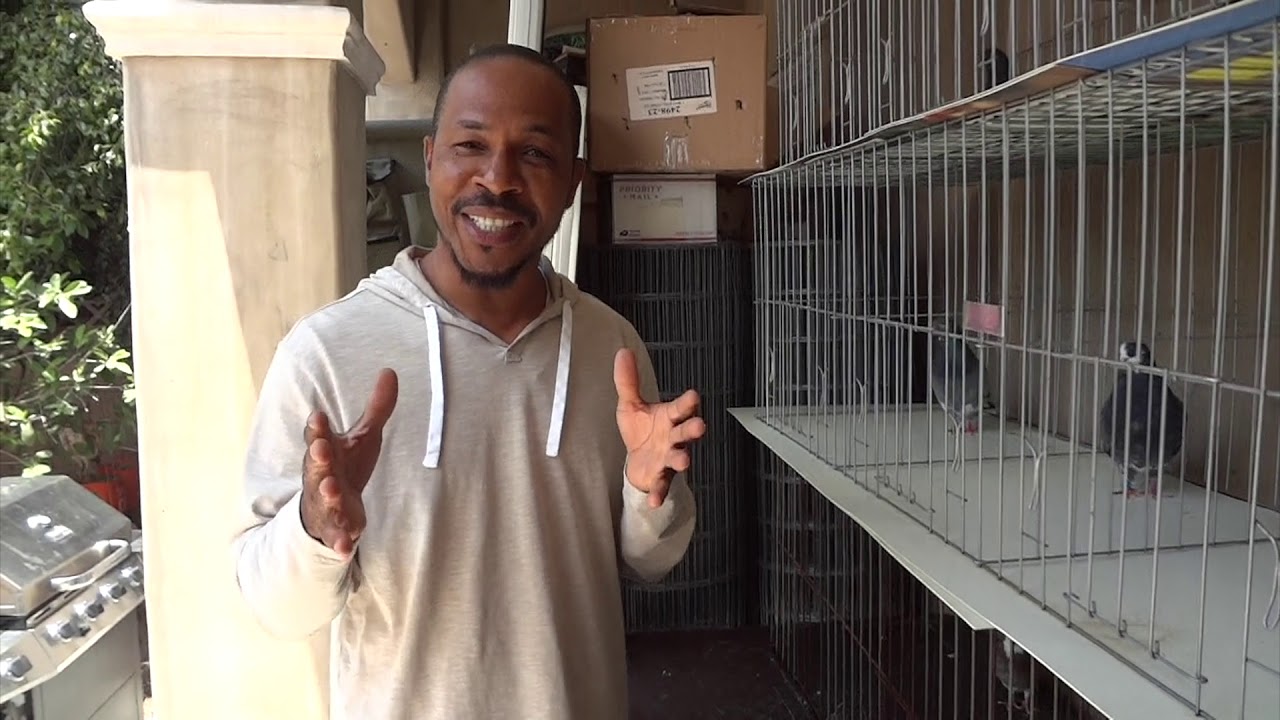 Происхождение семейства Синей звезды